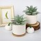 Set of 2 Artificial Agave Small Potted Succulent Plants with White Ceramic Pots & Bamboo Tray – Faux Desk & Home Decor